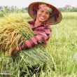 VẬT TƯ NÔNG NGHIỆP BÍCH PHƯỢNG