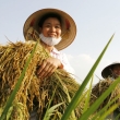 VẬT TƯ NÔNG NGHIỆP BÍCH PHƯỢNG