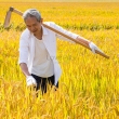 VẬT TƯ NÔNG NGHIỆP BÍCH PHƯỢNG